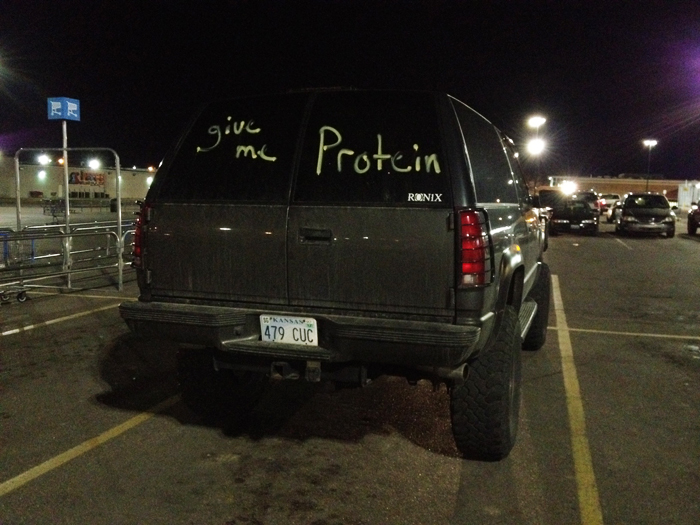 protein