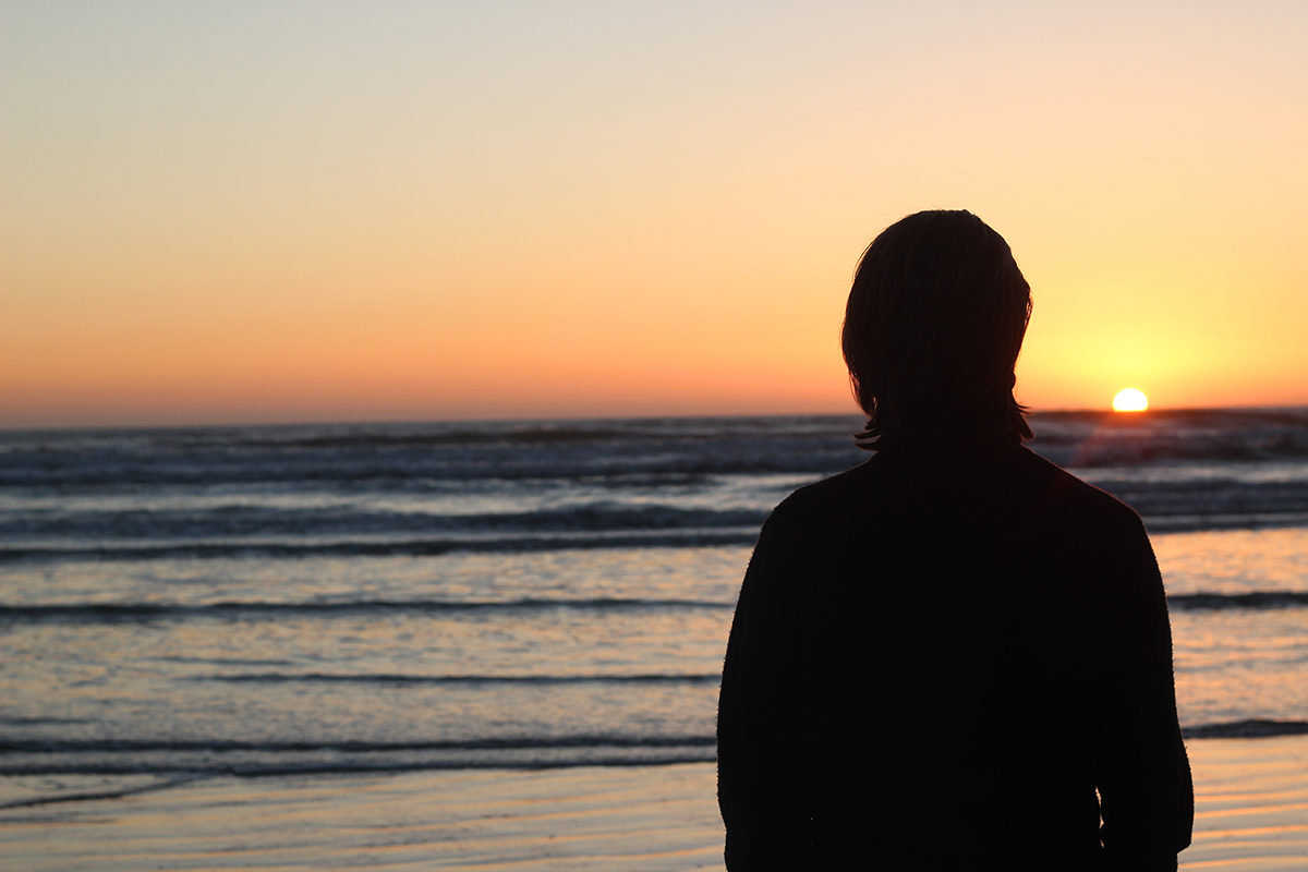 The Understanding Nature of… Nature
